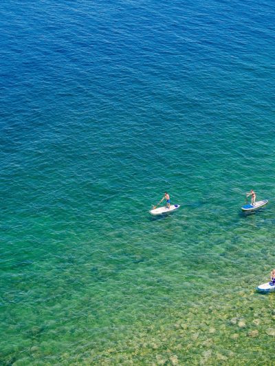 a group of people swimming in a body of water
